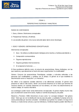 TEMA 1.pdf