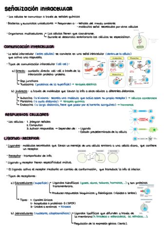 T5.pdf