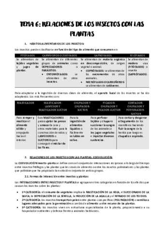 TEMA-6.pdf