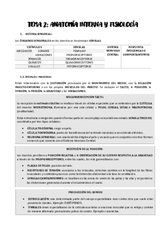 TEMA-2.pdf