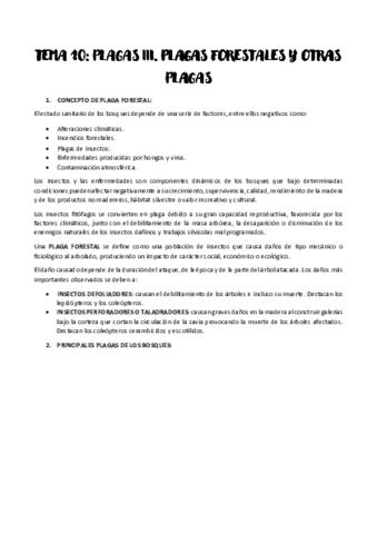 TEMA-10.pdf