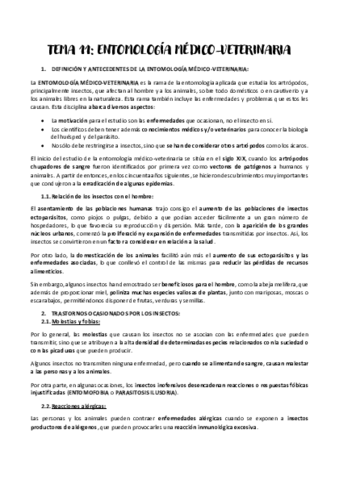 TEMA-11.pdf