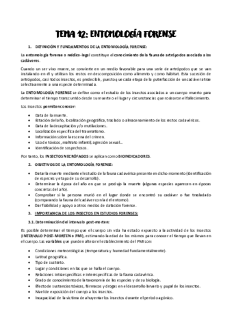 TEMA-12.pdf