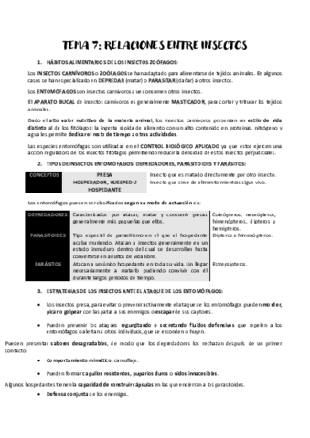TEMA-7.pdf