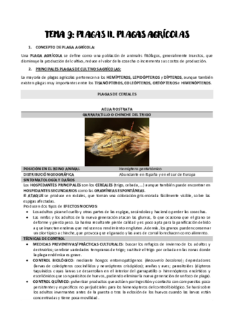 TEMA-9.pdf
