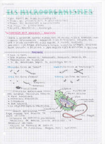 Els-microorganismes.pdf