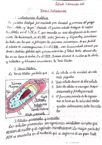 Biologia-Tema-1-7.pdf