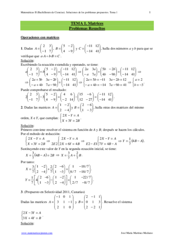 Problemas-Matrices-2.pdf