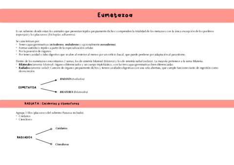 Eumetazoa-RADIADOS.pdf