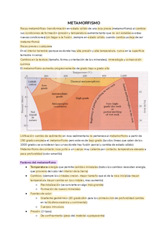 TEMA-10-METAMORFISMO.pdf