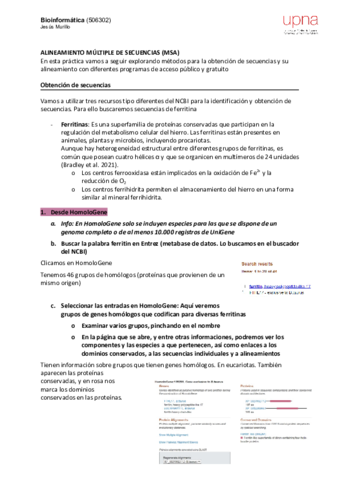 P12-MSAResuelta.pdf