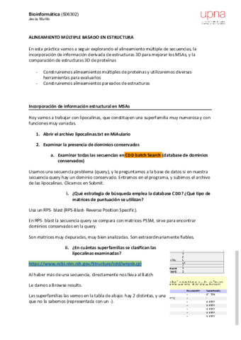 P14-MSAEstructuraResuelta.pdf