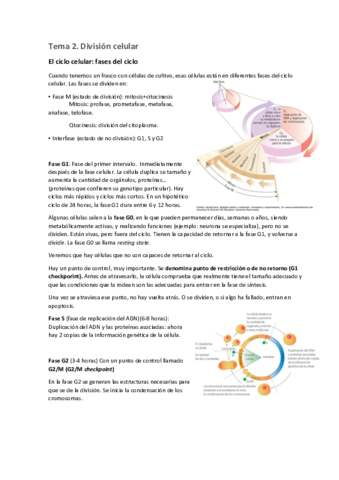 Tema-2.pdf