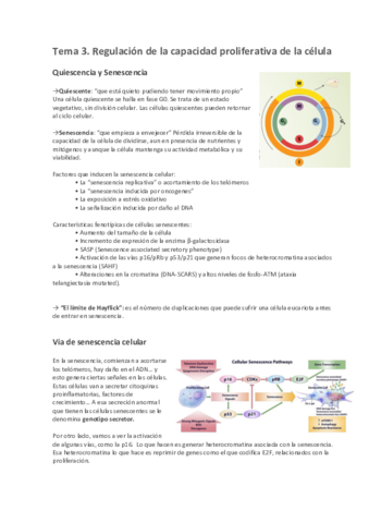 Tema-3.pdf