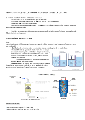 Tema-2.pdf