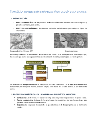 Tema-3-NEUROBIOLOGIA.pdf