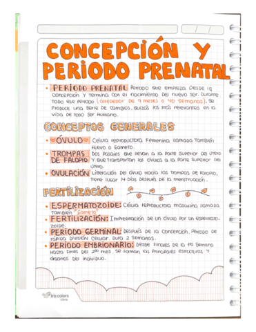 CONCEPCION-Y-PERIODO-PRENATAL.pdf