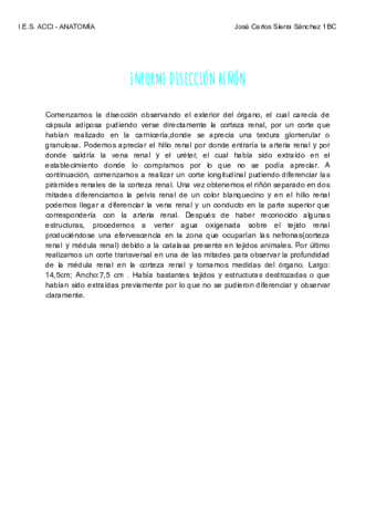 Diseccion-de-rinon-con-informe.pdf