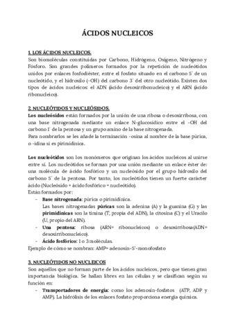 ACIDOS-NUCLEICOS.pdf