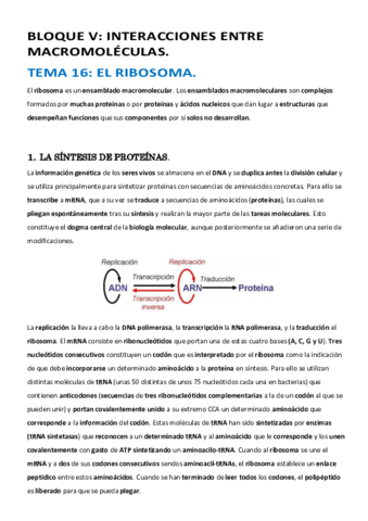 Temas-15-16-17-18-19-5.pdf