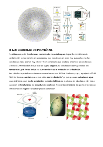 Temas-15-16-17-18-19-11.pdf