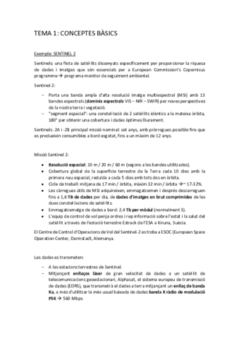TEMA1-Conceptes-basics.pdf