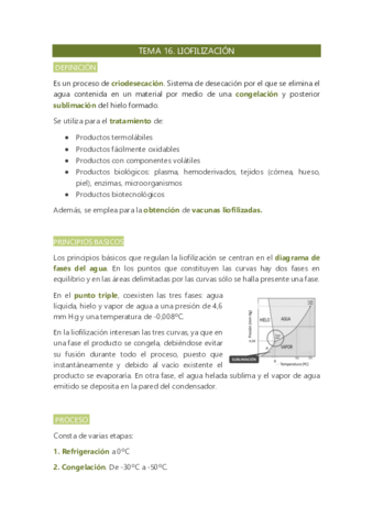 TEMA-16.pdf