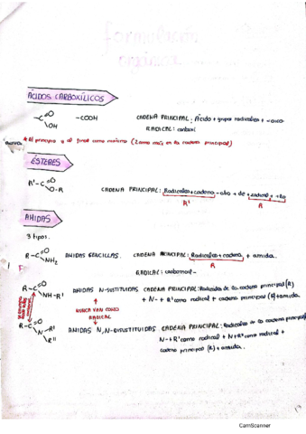 1.pdf