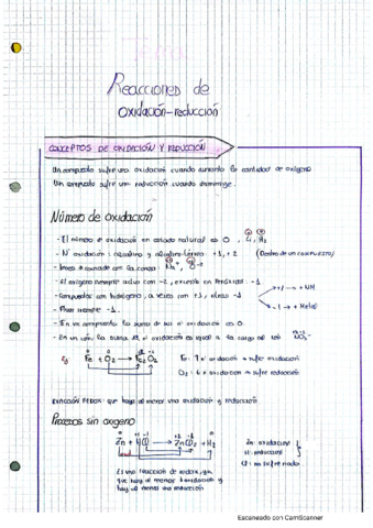 13.pdf