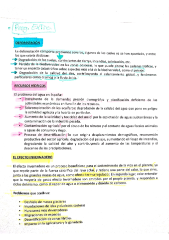 resumen-deforestacion-recursos-hidricos-y-efecto-invernadero.pdf