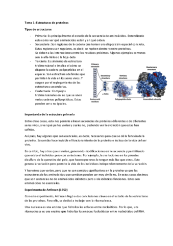 Tema-1-estructura-de-proteinas.pdf
