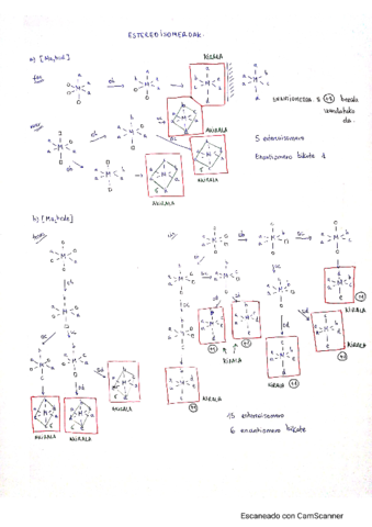 EstereoisomeroakAriketa.pdf
