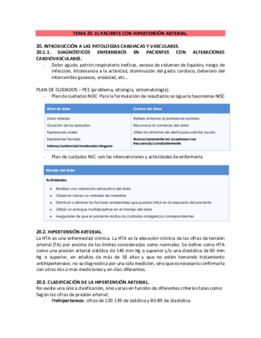 TEMA-20.pdf