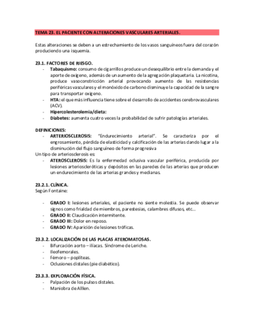 TEMA-23.pdf