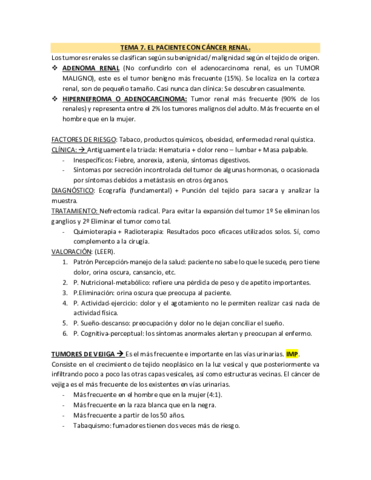 TEMA-7.pdf