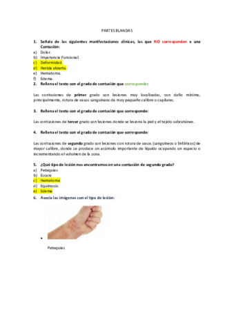 PARTES-BLANDAS.pdf