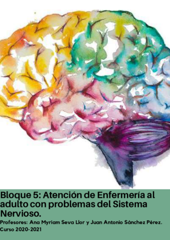 bloque-5-neuro-parte-juan-ant.pdf