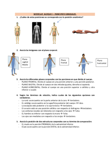 WOOCLAP-BLOQUE-1.pdf