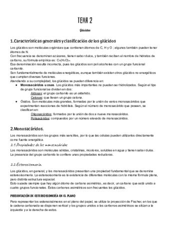 2.pdf