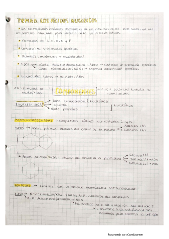 Biomoleculas-organicas-Acidos-nucleicos.pdf