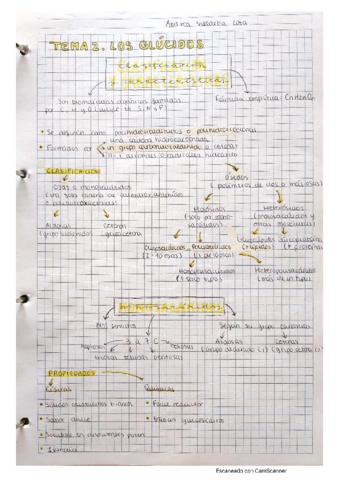Biomoleculas-organicas-Glucidos.pdf