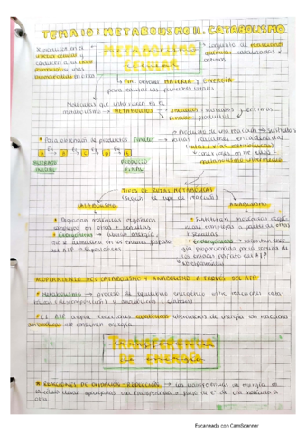 Metabolismo-Catabolismo.pdf