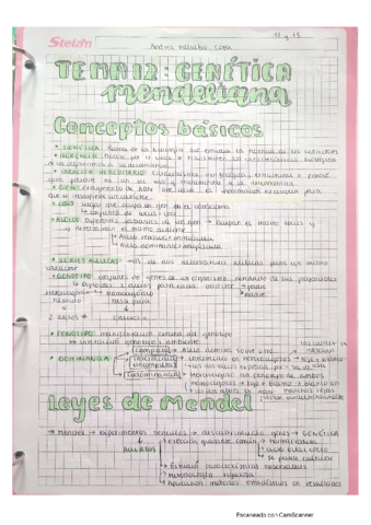 Genetica-mendeliana.pdf
