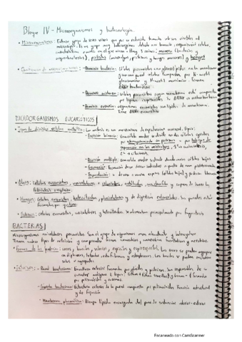 Resumen-Bloque-Microorganismos-selectividad.pdf