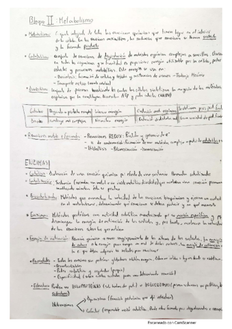 Resumen-Bloque-Metabolismo-selectividad.pdf
