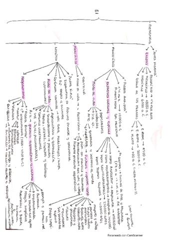 Esquemas-prehistoria-y-reconquista.pdf