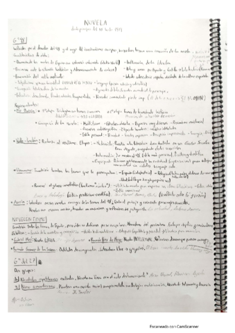 Teoria-literatura-selectividad.pdf