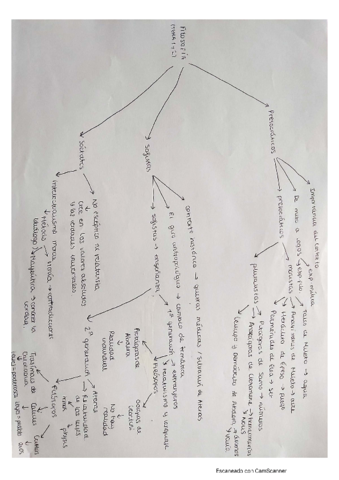 Presocraticos-y-Socrates.pdf