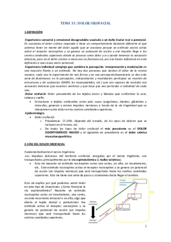 TEMA-31.pdf