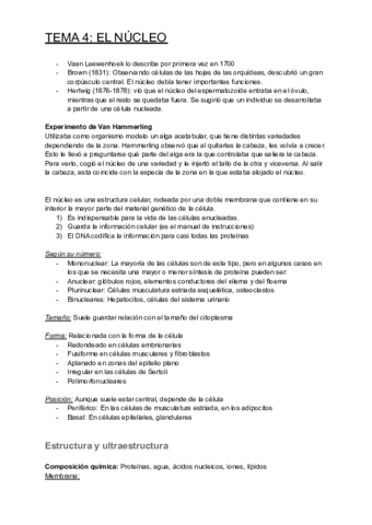 TEMA-4-EL-NUCLEO.pdf